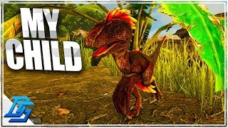 Starting My Raptor Life Raptor Baby  Ark Survival Evolved [upl. by Onimod]