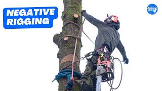 How to rig sections of trunk onto itself  Arborist Rigging techniques [upl. by Marthena964]