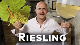 RIESLING  WINE IN 10 [upl. by Yknarf]