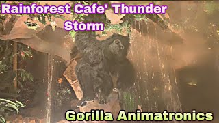 Rainforest Cafe’ Thunderstorm  Gorilla Animatronics  Disney’s Animal Kingdom  Orlando Florida [upl. by Kilah]