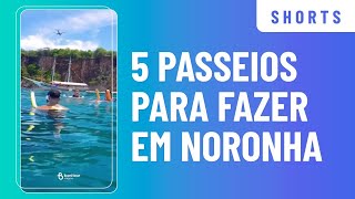 5 passeios para fazer em Noronha Shorts [upl. by Mascia278]