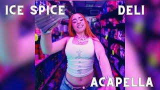 Ice Spice  Deli Acapella 140bpm C Major [upl. by Eel]