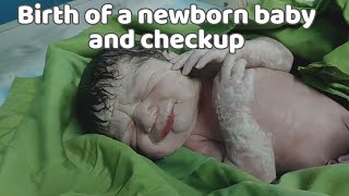 Birth of a newborn baby and checkup🥹🌹 [upl. by Nitsug]