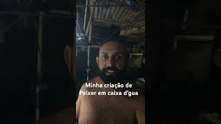 Minha criação de peixe em caixa d’água ￼ [upl. by Mela]