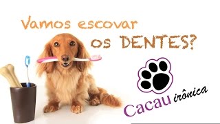 Escovando os dentes do seu cão [upl. by Akinihs281]