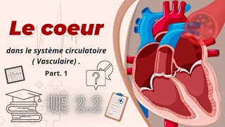 Le Cœur dans le Système Circulatoire UE 22 Semestre 1 partie 1 [upl. by Dayna]