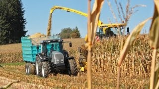 Maisernte mit VALTRA Traktoren  AMPLandtechnik [upl. by Adnirolc939]