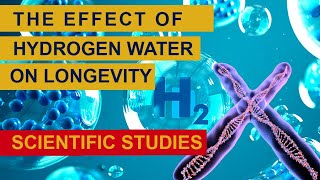 Hydrogen water scientific studies [upl. by Dilan]