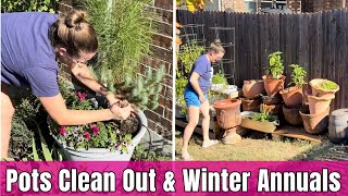 Organizing Garden Pots for Winter 🌿  Adding Winter Color with Pansies amp Snapdragons in Containers [upl. by Fira]