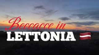 Baccacce in Lettonia🇱🇻 TRAILER woodcock hunting in Lettonia 🇱🇻 [upl. by Avaria]