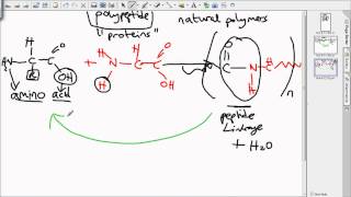 level 3 polymers [upl. by Aninay]