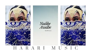 Nawala  Kude Samiyow │Ethiopian Harari Music Audio [upl. by Nnylesor604]