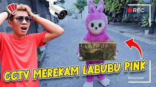 DIKIRA BOHONGAN CCTV MEREKAM JELAS LABUBU PINK MEMBAWA PAKET MISTERIUS KE RUMAH KITA [upl. by Evonne921]