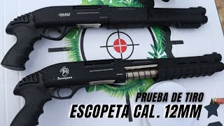 Escopeta TRAUMATICA Cal 12 Recortada 💥 Hedef Vs Scorpion cual eligen [upl. by Ausoj]