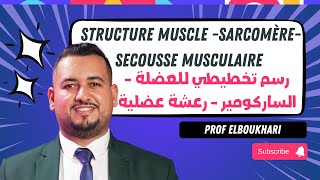 Partie 1  Structure muscle sarcomèresecousse musculaire رسم تخطيطي للعضلة  الساركومير رعشة [upl. by Nirik]