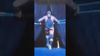 Owen Hart Falls down owenhartwweroyalrumblefall [upl. by Dronski]