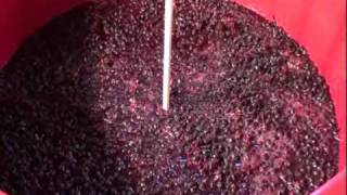 How to Make Homemade Wine from Chilean Merlot Grapes Part 2 of 5 [upl. by Kassab]