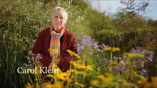 Autumn Gardening with Carol Klein Eps 4 [upl. by Laris]