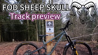 FOREST OF DEAN MINI DH SHEEP SKULL COURSE PREVIEW [upl. by Cohette]