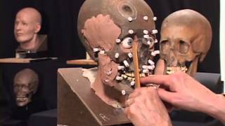 The Science and Art of The Facial Reconstruction Process [upl. by Errick463]