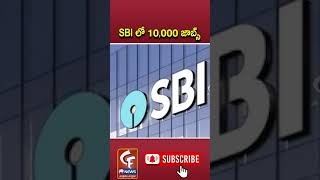 SBI లో 10000 జాబ్స్  SBI Announces 10000 Job Openings  Massive Recruitment Drive Begins [upl. by Bassett]