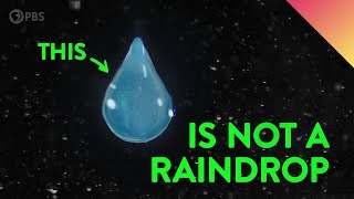 What Do Raindrops Really Look Like [upl. by Roid]