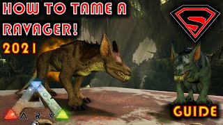 ARK SURVIAL EVOLVED HOW TO TAME A RAVAGER  EVERYTHING YOU NEED TO KNOW ABOUT TAMING A RAVAGER [upl. by Lac]