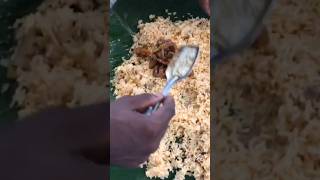 PART THREE IN Gandikota camping 🏕️🏕️ cooking mushroom biryani jammalamadugu proddatur travel [upl. by Zildjian174]