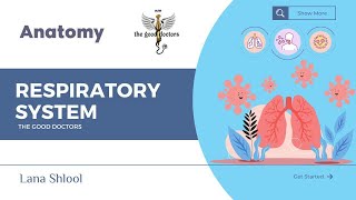 Lecture 2  Pharynx  Anatomy RS [upl. by Tocci]