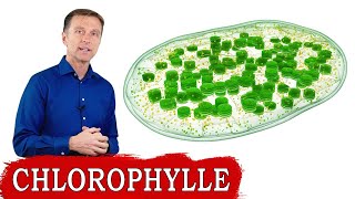 9 BIENFAITS DE LA CHLOROPHYLLE en 2 minutes [upl. by Titos926]