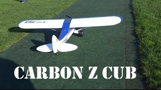 EFlite Carbon Z Cub BNF landings and onboard camera [upl. by Kobylak]