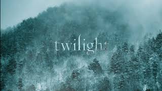 a nostalgic twilight comfort playlist instrumentals  rain ambience [upl. by Eardnaed518]