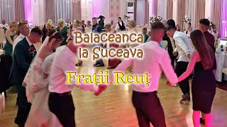 Balaceanca la Suceava la Nunta Live 2023 FratiiReut [upl. by Kynthia]