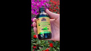 The Difference Between Regular Castor Oil and Black Jamaican Castor Oil [upl. by Atirihs]