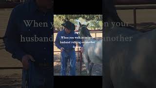 fyp yt funny humor cowboy youtube horse ytshorts youtubeshorts laugh filly colt silly [upl. by Bowes]