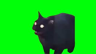 Morse Code Cat Green Screen [upl. by Emalee]