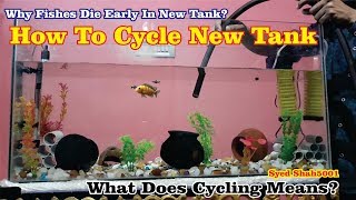 How to Cycle New Tank  Fishless Cycling for a Beginner [upl. by Yauq]