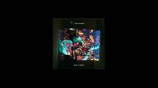 SHLOHMO  BAD VIBES FULL ALBUM [upl. by Burnham]