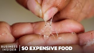 Why Pearl Lobsters Are So Expensive  So Expensive Food  Insider Business [upl. by Pawsner]