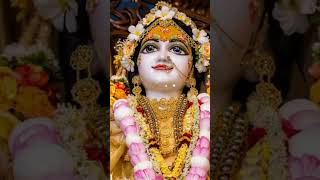 Kanna Krishna blessing shorts music song tamil viralshort blessings [upl. by Serle328]