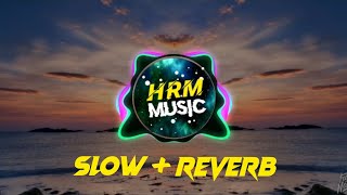 Bibash JK  Angalo  Slow  Reverb New Song [upl. by Nade906]