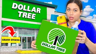 10 Dollar Tree Must Haves YOU Need To Find This Week  Dollar Tree [upl. by Carbone]