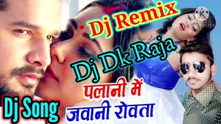 Dj Palani Mein Jawani Rowata HamroRitesh PandeyDj Remix Bhojpuri Song Dj Dk Raja Deewana [upl. by Amary]