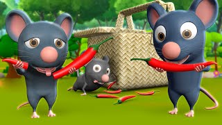 Chuhe Ke Muh Mirchi 3D Animated Hindi Stories for Kids चूहे के मूह मिर्ची कहानी Moral Stories Tales [upl. by Amisoc]