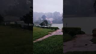 A rainy evening  Himachal  Rewalsar Lake rain love [upl. by Eltotsira]