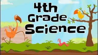 4th Grade Science Compilation [upl. by Adnoval]