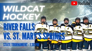 River Falls Wildcats Hockey vs St Marys Springs at the WIAA State Tournament  AUDIO ONLY [upl. by Nnylatsirk]