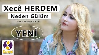 Xecê Herdem  Neden Gülüm Akustik [upl. by Nerrol]