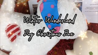 Winter Wonderland  Dog Christmas Box [upl. by Aydne]