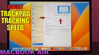 How to Adjust Trackpad Tracking Speed on MACBOOK [upl. by Aryamo872]